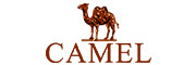 骆驼（CAMEL）