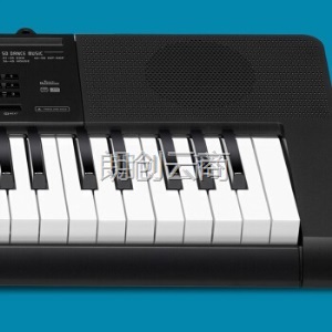 卡西欧（CASIO） 电子琴 CTK-3500 儿童成年人专业考级61键 丰富音色 力度键盘