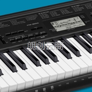 卡西欧（CASIO） 电子琴 CTK-3500 儿童成年人专业考级61键 丰富音色 力度键盘