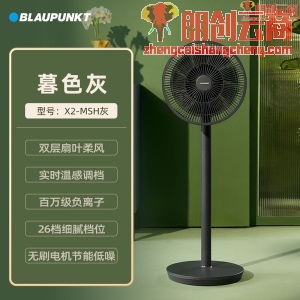 蓝宝（BLAUPUNKT）电风扇家用 落地扇遥控办公室台式风扇 负离子 果岭风 智能ECO X2-HEI