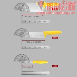 九阳(Joyoung)LINE联名切菜刀厨师刀水果刀自带刀桶厨房全套家用四件套装T0159 莎莉鸡