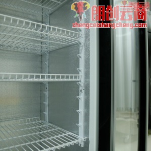 星星（XINGX）368升冷藏展示柜 单门便利超市饮料柜商用冰箱 立式陈列柜保鲜冰柜LSC-368G