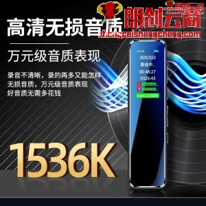 新科（Shinco）录音笔A01 16G专业高清微型录音器 超长录音 智能降噪 远距收音迷你便携式录音设备 黑色