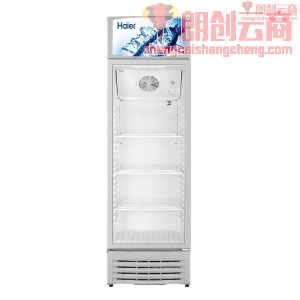 海尔（Haier）270升风冷双层门展示柜冰柜 商用冷藏饮料冷柜 SC-288D