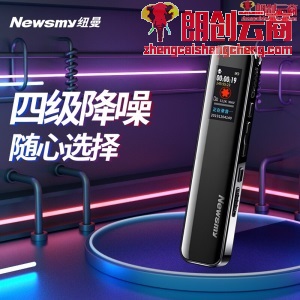 纽曼（Newsmy）录音笔 V19 32G一键录音 音频线转录 微型高清远距降噪录音器 学习培训会议录音速记 深锖色