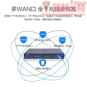 华三（H3C）千兆企业级VPN网关路由器 AC控制器 ER2200G2