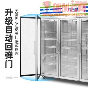 喜莱盛冷冻柜商用立式展示柜速冻超市展示柜急冻柜速冻饺子雪糕冰淇淋机 XLS-3LDS