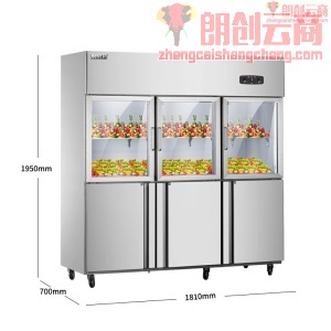 雪村 Xuecun 1250L六门冰箱商用 厨房冰箱 商用展示冷藏冷冻柜 CFS-60N3B3T