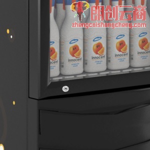 星星（XINGX）310升冷藏展示柜单门超市便利店立式饮料柜商用冰箱 陈列柜保鲜冰柜 单门310升风直冷带锁 LSC-310F