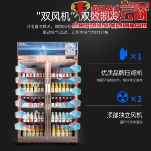 星星（XINGX）双门饮料展示柜立式冷藏冰柜 商用冰箱双门保鲜柜冷柜 风直冷超市饮料陈列柜 800升风机循环制冷 LSC-818Y