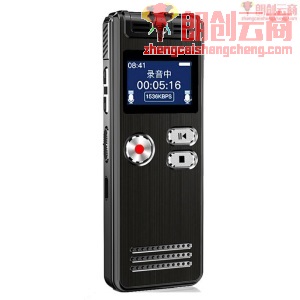 新科（Shinco）32g大容量智能录音笔转文字 微型录音设备 便携式专业高清降噪声控远距录音器Q6