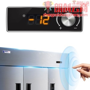 星星（XINGX）六开门商用冰箱 大容量全冷冻双温立式冰柜 不锈钢四六门厨房冷柜雪柜BD-1300Y BD-1300Y六门全冷冻