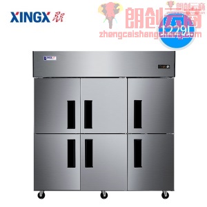 星星（XINGX）四六门厨房冰箱冷柜商用 四开门不锈钢立式冰柜商用冷藏冷冻柜保鲜柜 六门冷冻1229升 BD-1300Y