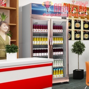 星星（XINGX）双门饮料展示柜立式冷藏冰柜 商用冰箱双门保鲜柜冷柜 风直冷超市饮料陈列柜 800升风机循环制冷 LSC-818Y