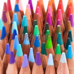 马可（MARCO）雷诺阿31系列 100色水溶性彩色铅笔/填色笔/美术专业设计手绘水彩彩铅 铁盒套装3120-100TN
