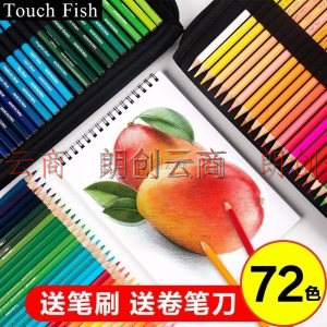 TouchFish 72色水溶性彩铅美术铅笔手绘涂色填色绘画套装儿童画画学生练习专业彩色铅笔 水溶性72色套装