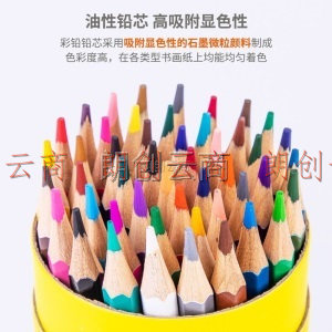 得力(deli)48色油性彩铅 原木六角杆彩色铅笔 学生儿童绘画涂色画笔画具画材美术套装 纸筒DL-7070-48