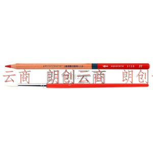 马可（MARCO）雷诺阿31系列 100色水溶性彩色铅笔/填色笔/美术专业设计手绘水彩彩铅 铁盒套装3120-100TN