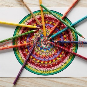   霹雳马（Prismacolor）彩铅 油性彩色铅笔初阶36色套装 手绘涂色美术生绘画纸盒套装