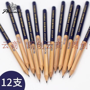 凤凰画材 Phoenix 12支素描铅笔 专业绘画美术铅笔 粗杆软中硬炭笔 2H/H/HB/B/2B/4B/6B/8B 8900S（4B）
