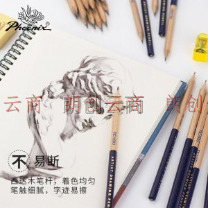 凤凰画材 Phoenix 12支素描铅笔 专业绘画美术铅笔 粗杆软中硬炭笔 2H/H/HB/B/2B/4B/6B/8B 8900S（4B）