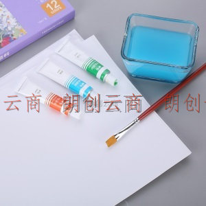 晨光(M&G)文具12ml/12色水粉颜料 美术专用水粉画颜料 学生写生绘画工具APL97606