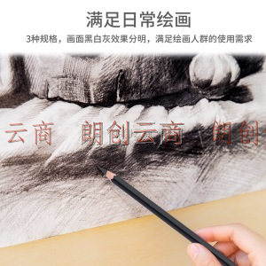 得力(deli)素描炭笔 初学者速写碳笔软中硬 绘画美术生专用工具 12支/盒软炭 S997-6