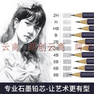 凤凰画材 Phoenix 12支素描铅笔 专业绘画美术铅笔 圆杆软中硬炭笔 2H/HB/2B/4B/6B/8B PSP8800S（H）