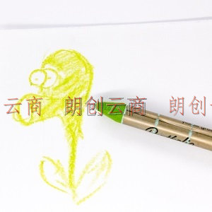   绘儿乐（Crayola）儿童蜡笔丝滑蜡笔美术儿童绘画12色水溶性油画棒52-3612