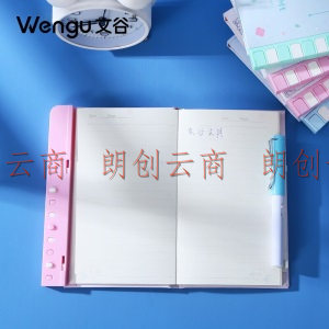 文谷（Wengu）a5带锁日记本 手账本笔记本子幼儿园小本子密码锁本记事本学生笔记本心之向往BL149-C