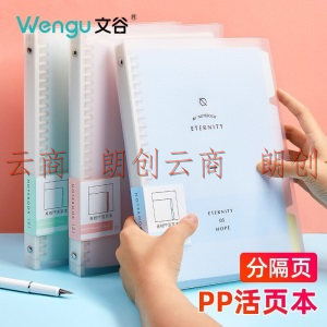 文谷(Wengu)B5活页本笔记本子记事本可拆卸活页夹26孔60张横线内芯四色索引分隔页 蓝色B17-B5/C