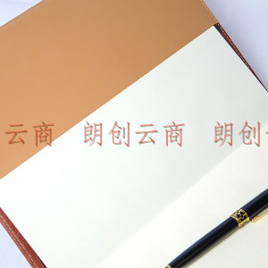 申士(SHEN SHI) A4/12K复古图腾印花商务办公记事本 笔记本 日记本 棕黄色J06A4