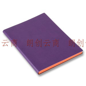 信发 TRNFA  TB-Z190 （葡紫色18K）彩色时尚  变色PU记事本高级商务笔记本 软皮面记事薄创意办公文具