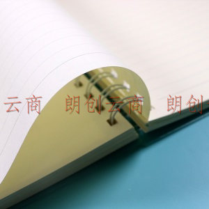 申士 SHEN SHI B5/18K分类线圈本横线本简约110张加厚笔记本子记事本四个分类标签J8218-6蓝色