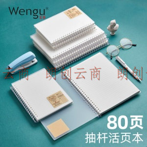 文谷（Wengu）抽拉线圈活页笔记本子分页可拆卸学生手账本记事本26孔80页可替换内芯PL014-B5方格