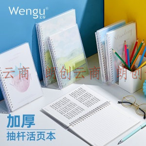 文谷(Wengu)活页本b5 线圈本活页笔记本可拆卸笔记本子   本手账本记事本横线80页PL003-B5-D