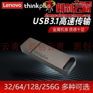 联想（thinkplus）USB3.1高速传输U盘 移动闪存优盘 金属商务U盘 大容量电脑优盘 TU100金属优盘【灰色】 256G