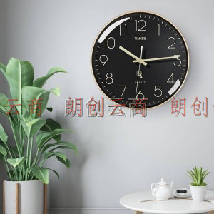 Timess 挂钟 电波钟客厅静音时尚简约北欧时钟表挂墙智能自动对时电波钟 P30A-9