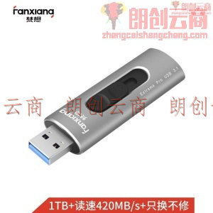 梵想（FANXIANG）1TB USB3.1 固态U盘 F306超极速 读速420MB/s 写入400MB/s  移动固态硬盘般传输体验