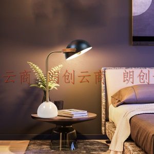 凡丁堡（FANDBO）北欧台灯卧室 创意浪漫简约现代装饰灯MWDS499