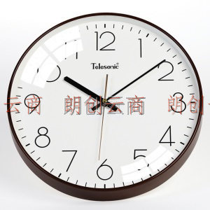 天王星（Telesonic）挂钟 客厅创意钟表现代简约静音钟时尚个性3D立体时钟卧室石英钟圆形挂表Q8721-3咖啡色
