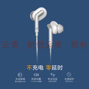 Libratone（小鸟耳机）CORE+主动降噪耳机有线入耳式k歌游戏耳机耳麦USB-C接口适用华为安卓 黑色