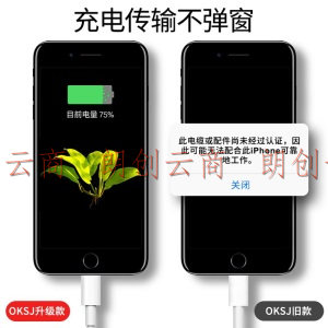 OKSJ 苹果数据线2米加长充电器线超级快充ipad平板 iPhone12/11pro/SE/max/xr/xs/8Plus/7p/8/7/6S两条装