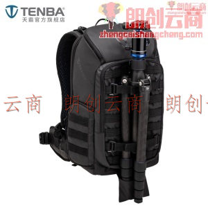 天霸 TENBA摄影包 爱克斯Axis 20L双肩专业户外单反微单战术相机包大容量 637-701