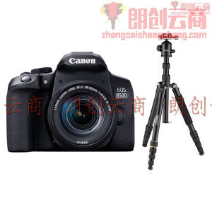 佳能（Canon）EOS 850D 单反相机 单反套机 （EF-S 18-55mm f/4-5.6 IS STM 单反镜头）