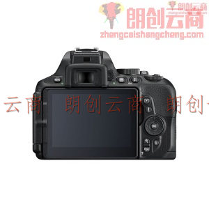 尼康（Nikon）D5600 单反相机 数码相机 （AF-S DX 尼克尔 18-200mm f/3.5-5.6G ED VR II 单反镜头）