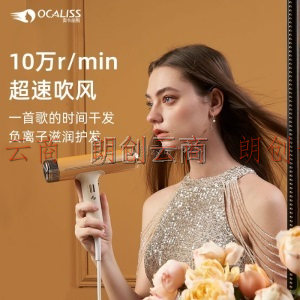 奥卡丽斯 OCALISS 电吹风机女生韩式短发蓬松烫发女士造型 D60 复古黄