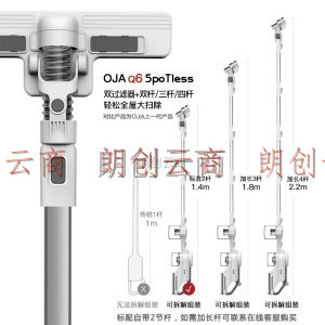 OJA无线吸尘器家用小型手持双过滤器大功率吸拖两用吸尘机Q6白