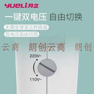 月立(yueli) 电吹风机 1200W家用迷你吹风 可折叠便携式旅行大功率吹风筒 学生宿舍用吹风机 HD-066WTF