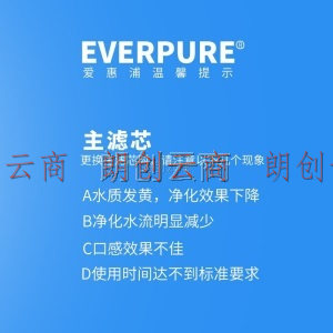 爱惠浦（Everpure） H-100 净水器滤芯